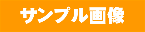 サンプル画像